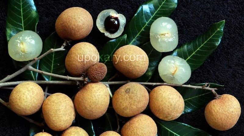 longan lychee