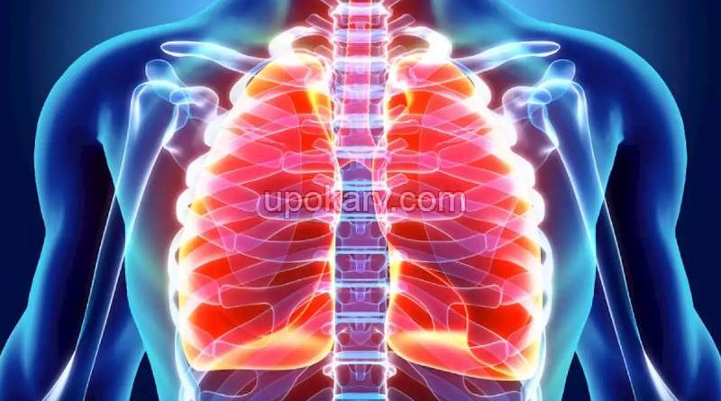 lungs health