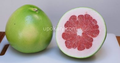 pomelo fruit