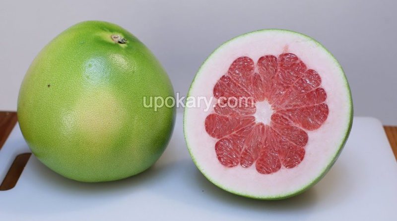 pomelo fruit