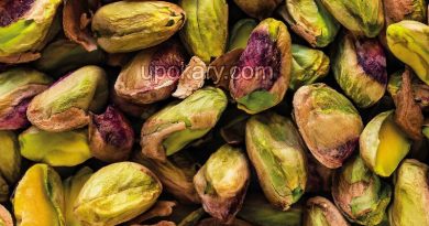 Pistachio