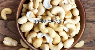cashewnut