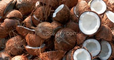 coconut