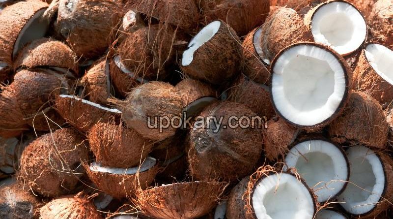 coconut