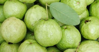 guava