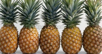 healthy pine apple