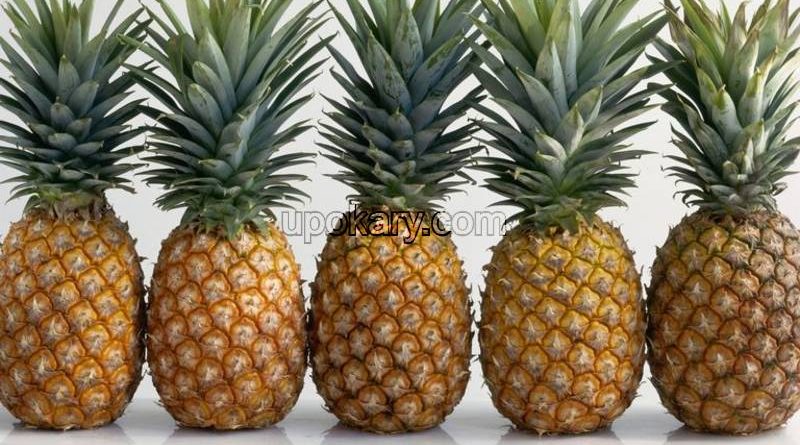 healthy pine apple