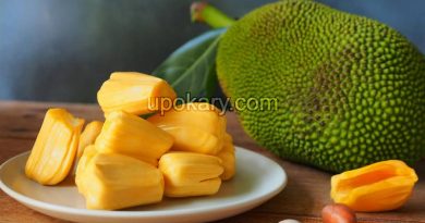 jackfruit