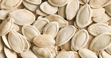 pumpkinseeds