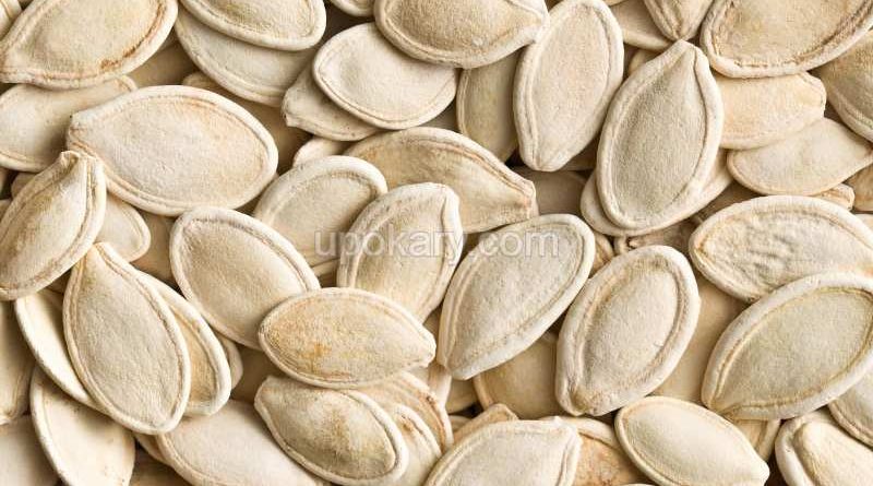 pumpkinseeds