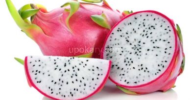 dragon-fruit