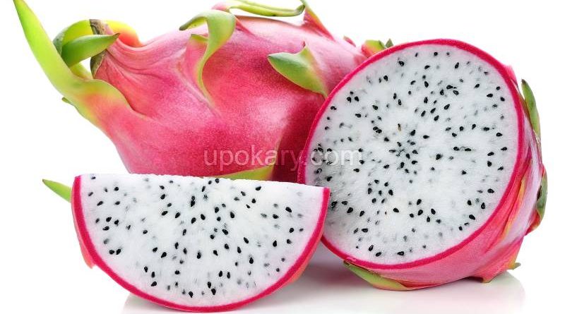 dragon-fruit