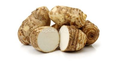 eddoe or kochur mukhi