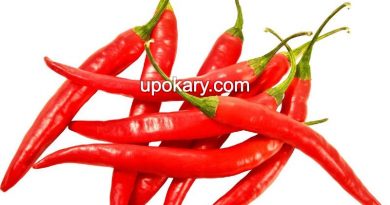 red-chili