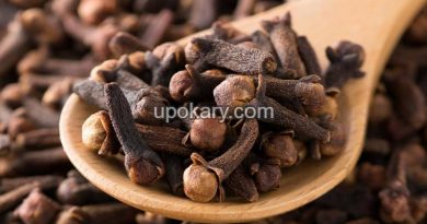 cloves