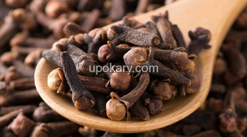 cloves