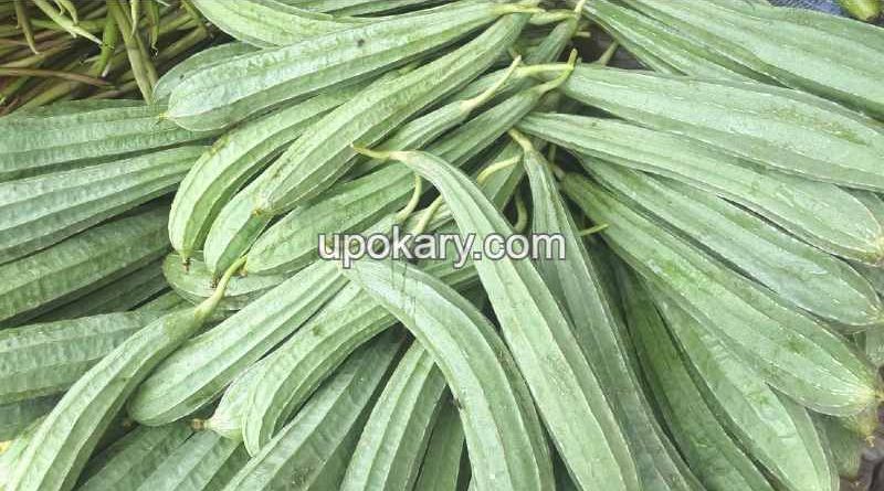 vegetable ridge gourd