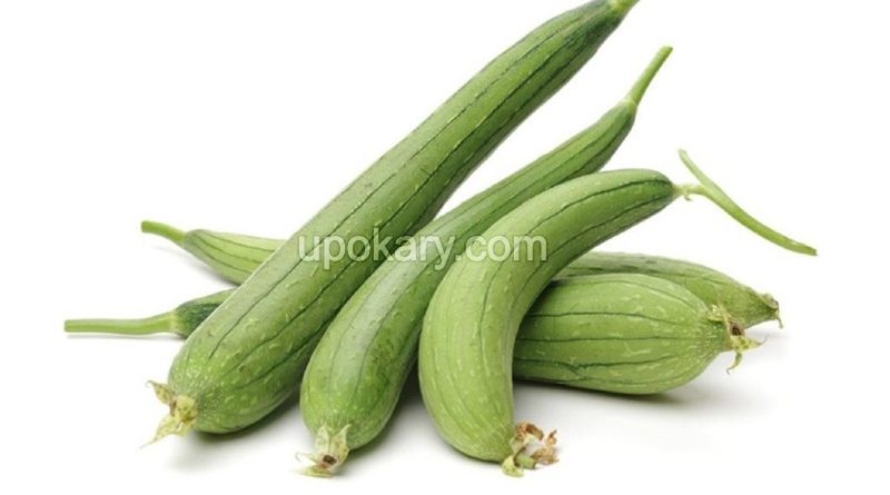 sponge gourd