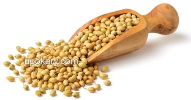 Coriander-Seeds
