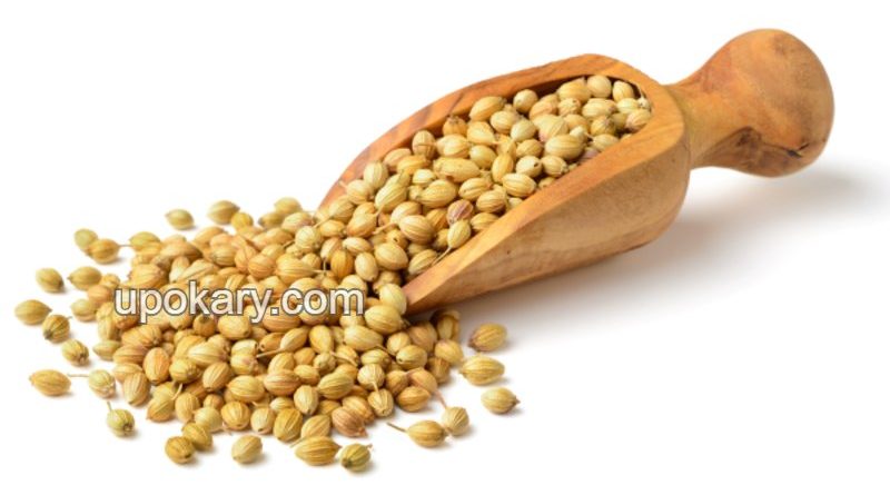 Coriander-Seeds