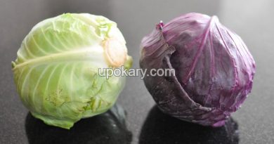 cabbage