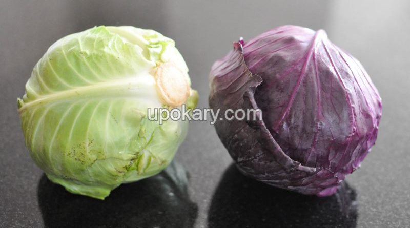 cabbage