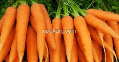 carrots