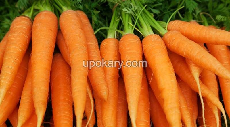 carrots