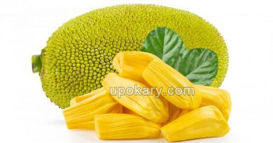 jackfruit