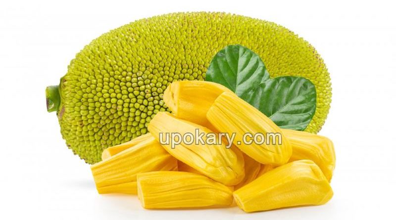 jackfruit