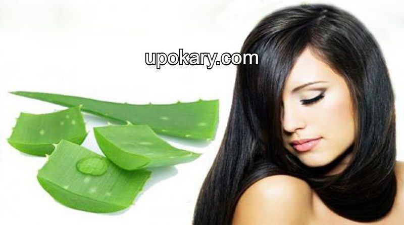 alovera hair