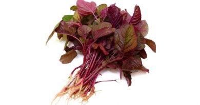 red spinach