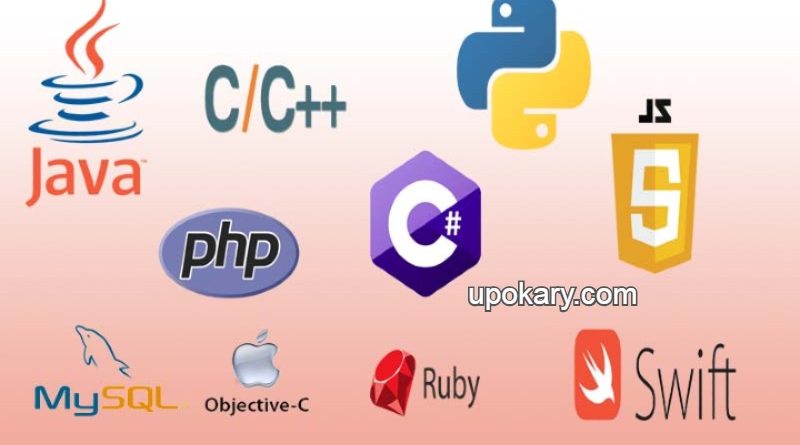 top programming languages