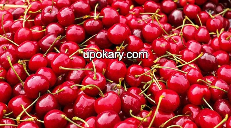 Cherries