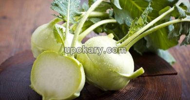 Kohlrabi