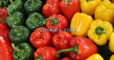capsicums