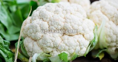 cauliflower