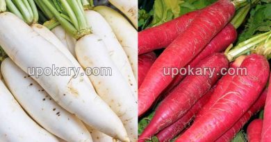 radish-1