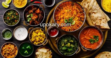 Non-vegetarian food