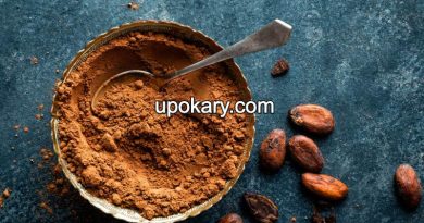cocoa powder