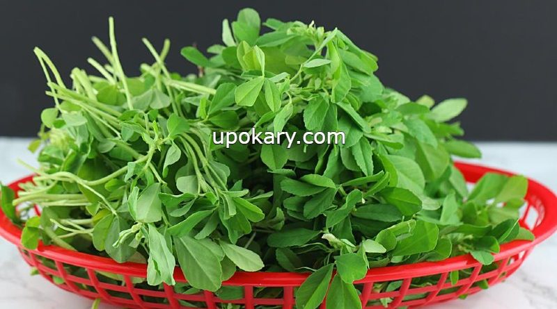 methi leaves