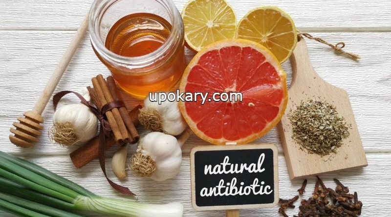 natural antibiotics