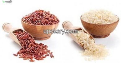 brown rice