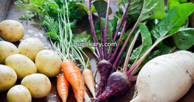 root vegetables
