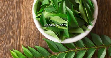 curry leaves