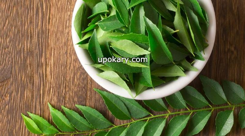 curry leaves