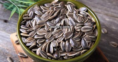 sunflower seeds