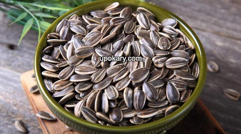 sunflower seeds