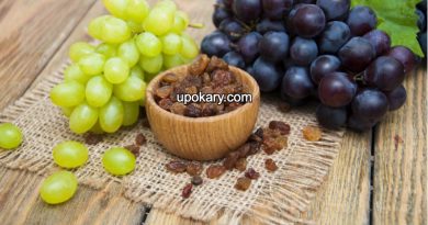 GrapesRaisins