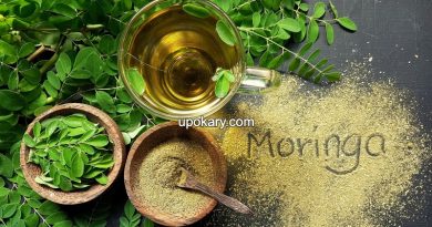 Moringa tea